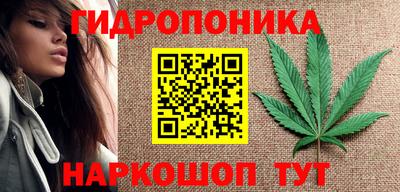 прущие крисы Кандалакша