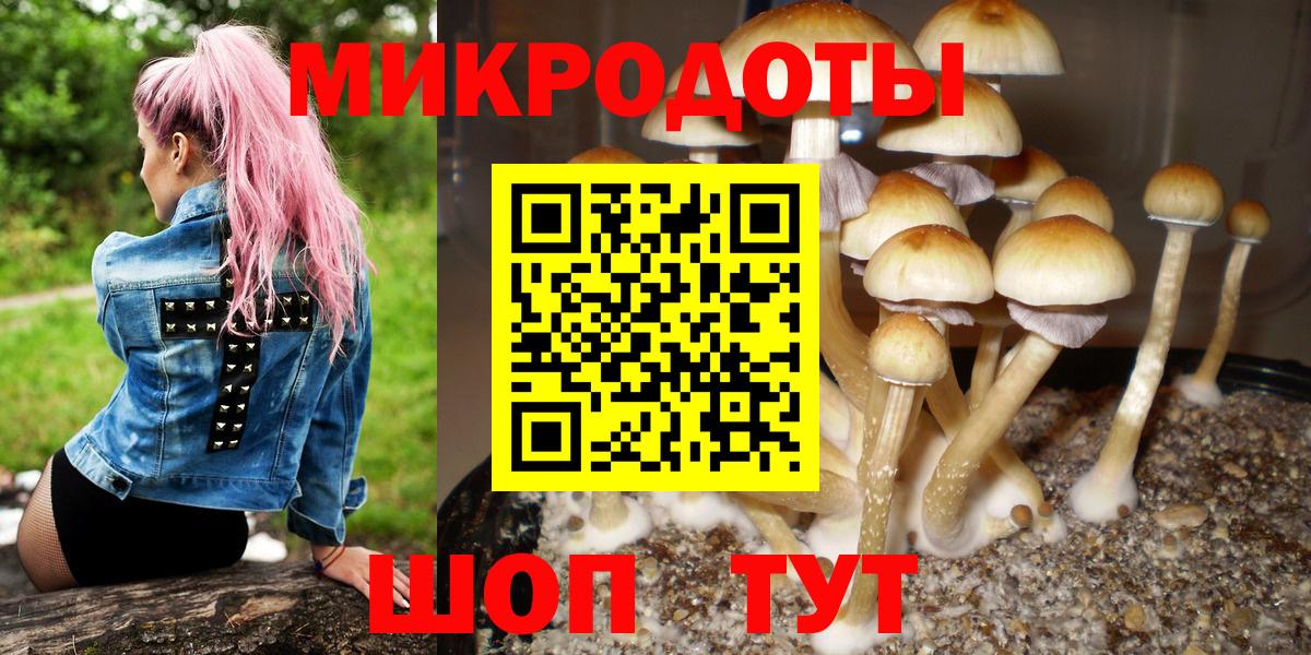 Галлюциногенные грибы мицелий Луховицы