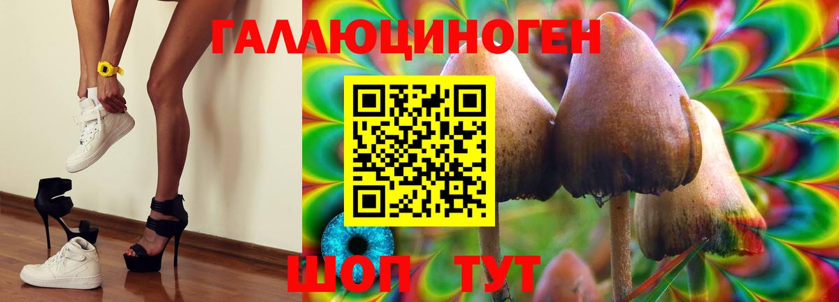 купить наркотик  Вход с VPN  Луховицы  Галлюциногенные грибы MAGIC MUSHROOMS 